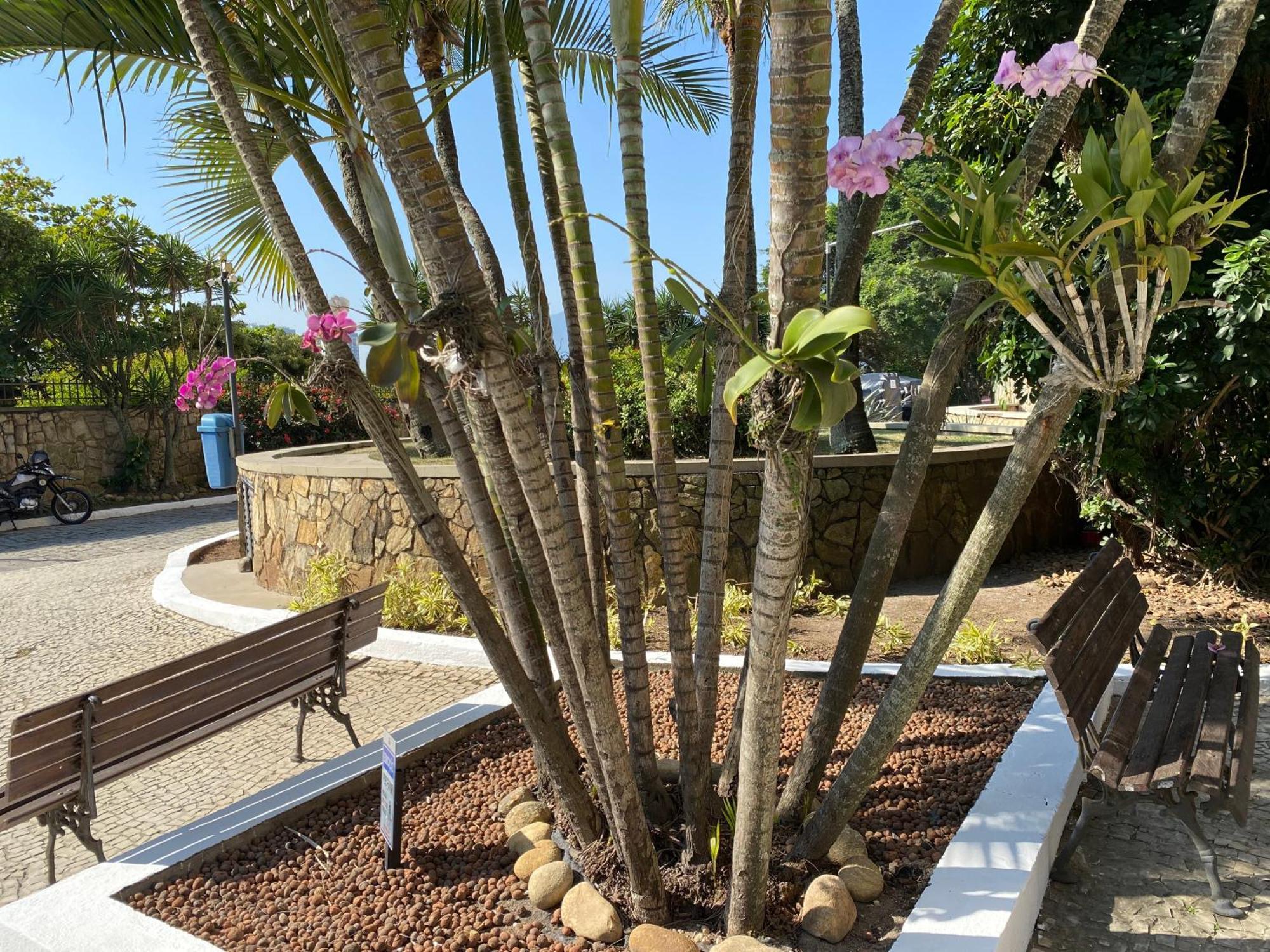 Luxo Requinte 30 Mts Da Da Barra Posto 8 Apartamento Río de Janeiro
